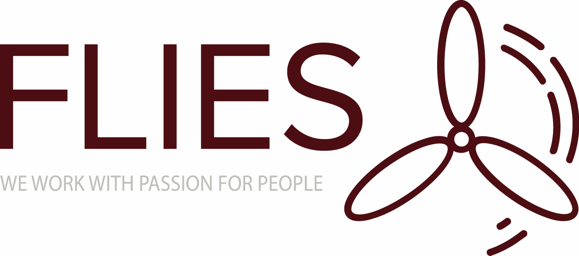 Flies HR Consulting